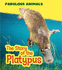 The Story of the Platypus (Fabulous Animals)