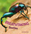 Breathtaking Beetles (a+ Books: Marvellous Minibeasts! )