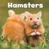 Hamsters