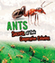 Amazing Animal Colonies: Ants: Secrets of Their Cooperative Colonies