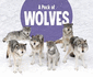Animal Groups: a Pack of Wolves