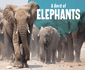 A Herd of Elephants (Animal Groups)
