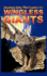 Journey Into the Land of the Wingless Giants