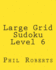 Large Grid Sudoku Level 6: Moderate Sudoku Puzzles