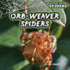 Orb-Weaver Spiders (Nightmare Creatures: Spiders! )