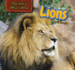 Lions (the Zoo's Who's Who)