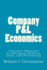 Company P&L Economics: Economic Measures for Managing Revenue, Costs, and Profitability