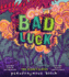 Bad Luck (the Bad Books, 2)