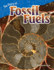 The Story of Fossil Fuels (Science Readers: Content and Literacy)