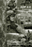 Sustainment (ADP 4-0)