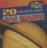 20 Fun Facts About Gas Giants (Fun Fact File)