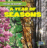 A Year of Seasons