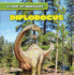 Diplodocus (a Look at Dinosaurs)