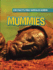 Mummies (100 Facts You Should Know)