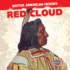 Red Cloud (Native American Heroes)