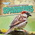 A Bird Watcher's Guide to Sparrows (Backyard Bird Watchers)