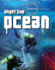 Under the Ocean (Science on Patrol)