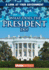 What Does the President Do? (a Look at Your Government)