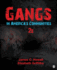 Gangs in America? S Communities