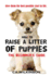 How to Raise a Litter of Puppies: the Beginner's Guide