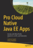 Pro Cloud Native Java Ee Apps: Devops with Microprofile, Jakarta Ee 10 Apis, and Kubernetes