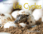 Life Cycles (Investigate! ) (Na-H: Investigate! )