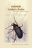 Australian Longhorn Beetles (Coleoptera: Cerambycidae) Volume 3: Subfamily Prioninae of the Australo-Pacific Region