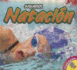 Natacion (Juguemos (Av2 Weigl)) (Spanish Edition)