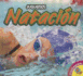 Natacion