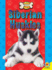 Siberian Huskies (All About Dogs)