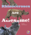 Rhinoceroses Are Awesome! (a+ Books: Awesome Asian Animals)