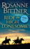 Ride the High Lonesome (Outlaw Trail, 1)