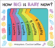 How Big is Baby Now? : a New Baby Gift Book for Big Brothers and Big Sisters (Baby Shower Gift)