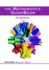 The Mathematica Guidebook for Symbolics