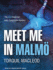 Meet Me in Malmoe: the First Inspector Anita Sundstrom Mystery (Inspector Anita Sundstroem)