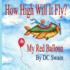 How High Will It Fly? : (My Red Balloon)