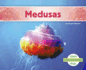 Medusas /Jellyfish