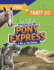 Working on the Pony Express: a This Or That Debate (This Or That? : History Edition)