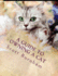 A Guide To Owning A Cat: What do I do when I go on vacation.