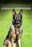 German Shepherds - Curious Kids Press: Kids book about animals and wildlife, Children's books 4-6