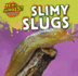 Slimy Slugs (Icky Animals! Small and Gross, 4)