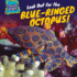 Look Out for the Blue-Ringed Octopus!