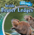 Inside Beaver Lodges (Inside Animal Homes)