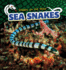 Sea Snakes (Snakes on the Hunt)