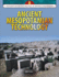 Ancient Mesopotamian Technology (Spotlight on the Rise and Fall of Ancient Civilizations)