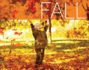 Fall (Seasons of the Year)