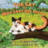 The Cat Who Lost His Meow