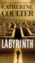 Labyrinth, Volume 23 (Fbi Thriller)