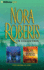 Nora Roberts-Black Hills and Chasing Fire 2-in-1 Collection