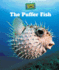 The Puffer Fish